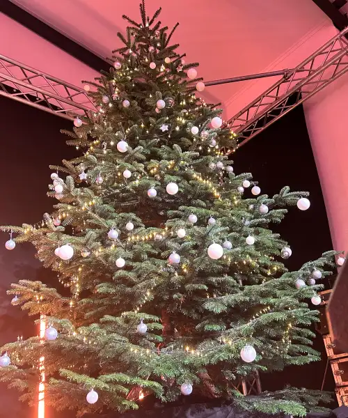 AMbiente Weihnachtsbaum